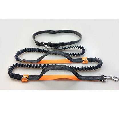 Hands-Free Dog Running Leash with Dual Bungees