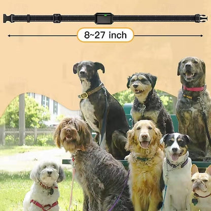 Smart Dog Training Collar with Remote Control