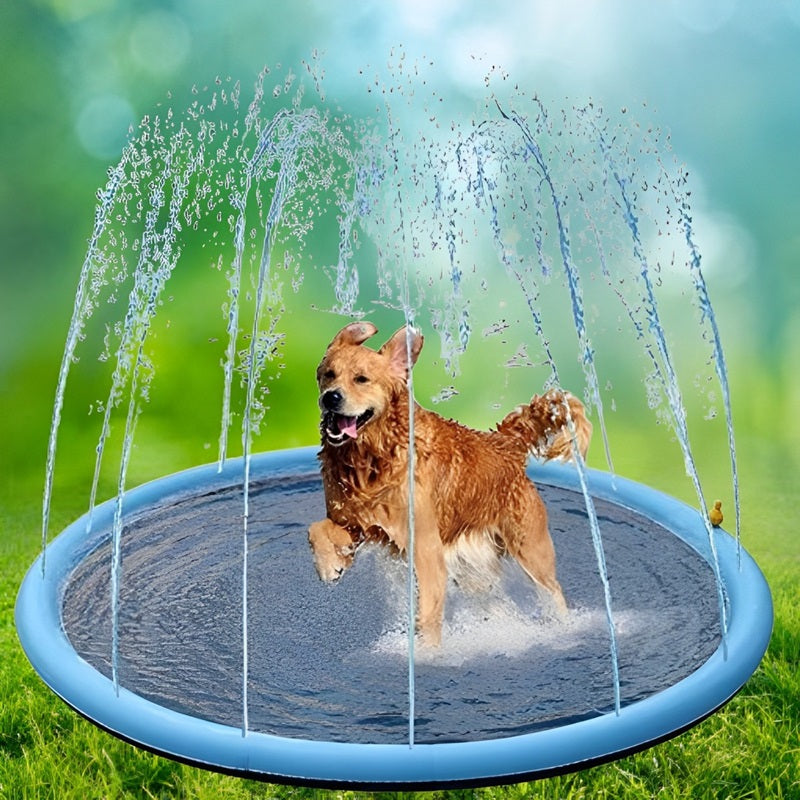 Paws and Play Splash Pad