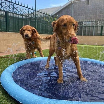 Paws and Play Splash Pad