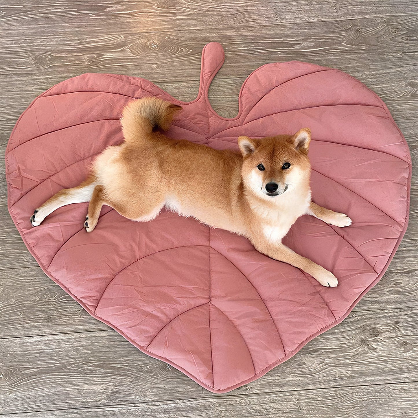 Unique Various Leaf Shape Dog & Cat Mat Blanket