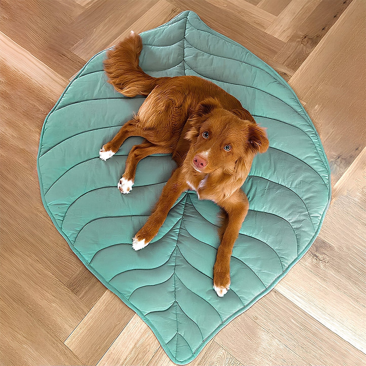 Unique Various Leaf Shape Dog & Cat Mat Blanket