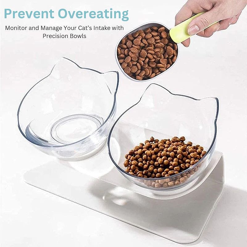 Orthopedic Elevated Cat Bowl