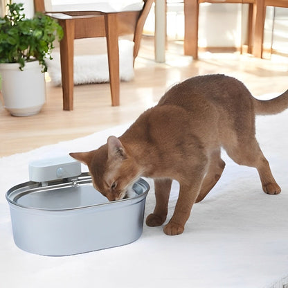 Wireless Automatic Pet Water Fountain