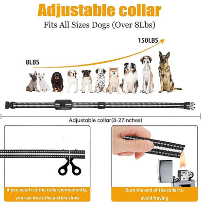 Rechargeable Waterproof Dog Training Collar with Remote Control