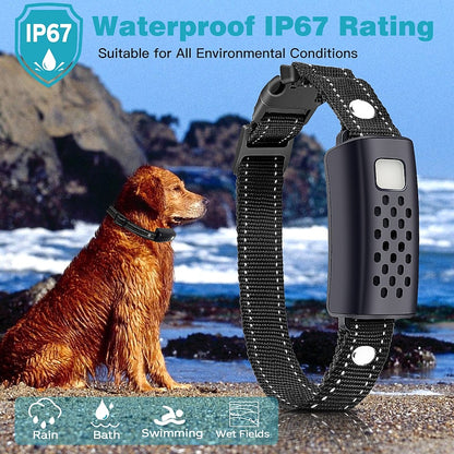 2000-Metre Range Advanced Remote Dog Training Collar