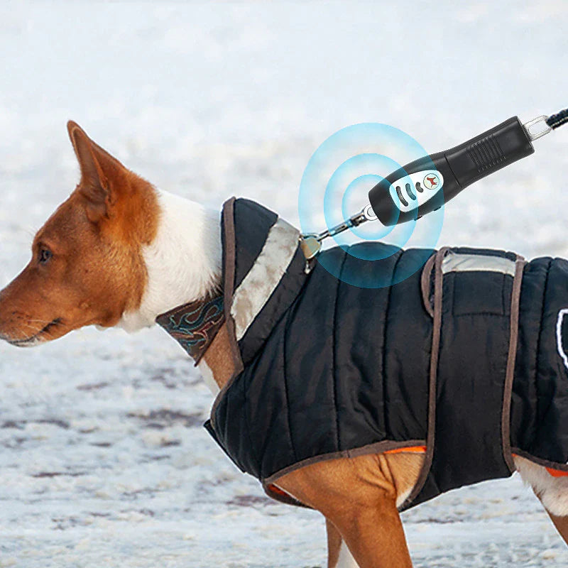 Ultrasonic Anti Barking Dog Training Device