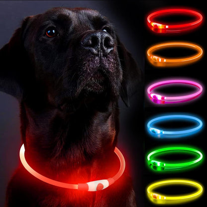 LED Dog Collar, Light Up Dog Collars, Rechargeable Dog Lights for Night Walking