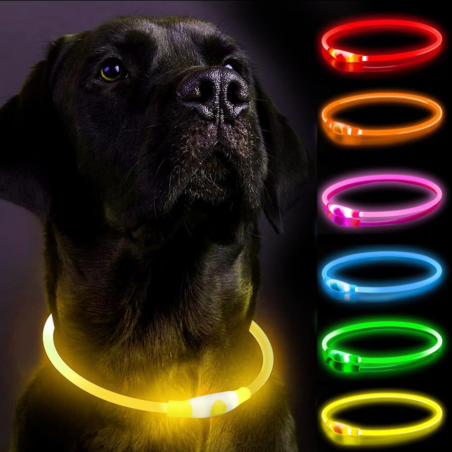 LED Dog Collar, Light Up Dog Collars, Rechargeable Dog Lights for Night Walking